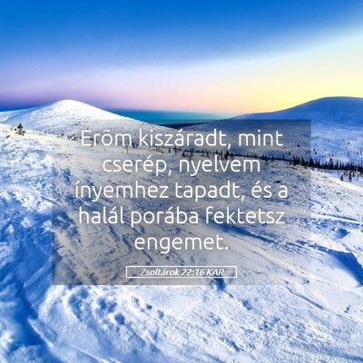 Picture 05 - Zsoltárok 22:16 KAR - Erõm kiszáradt, mint cserép, nyelvem ínyemhez - Bible Verse Picture