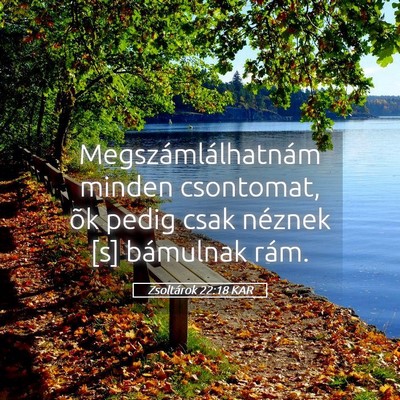 Picture 05 - Zsoltárok 22:18 KAR - Megszámlálhatnám minden csontomat, õk pedig - Bible Verse Picture