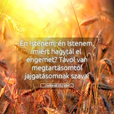 Picture 05 - Zsoltárok 22:2 KAR - Én Istenem, én Istenem, miért hagytál el - Bible Verse Picture