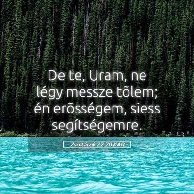 Picture 05 - Zsoltárok 22:20 KAR - De te, Uram, ne légy messze tõlem; én - Bible Verse Picture