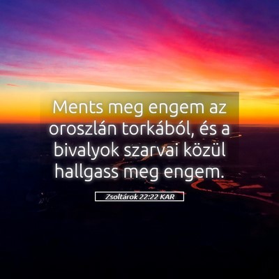Picture 05 - Zsoltárok 22:22 KAR - Ments meg engem az oroszlán torkából, és a - Bible Verse Picture