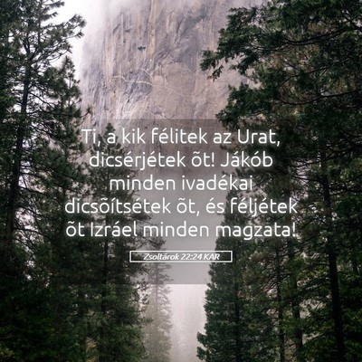 Picture 05 - Zsoltárok 22:24 KAR - Ti, a kik félitek az Urat, dicsérjétek õt! - Bible Verse Picture
