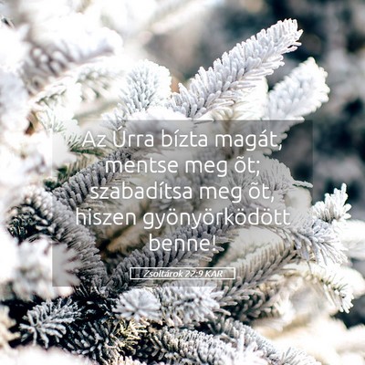 Picture 05 - Zsoltárok 22:9 KAR - Az Úrra bízta magát, mentse meg õt; - Bible Verse Picture
