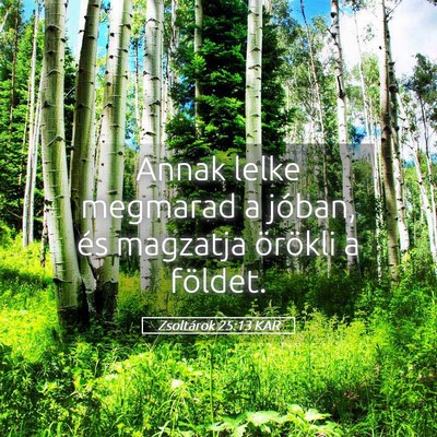 Picture 05 - Zsoltárok 25:13 KAR - Annak lelke megmarad a jóban, és magzatja - Bible Verse Picture