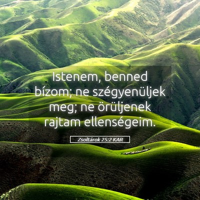 Picture 05 - Zsoltárok 25:2 KAR - Istenem, benned bízom; ne szégyenüljek meg; ne - Bible Verse Picture