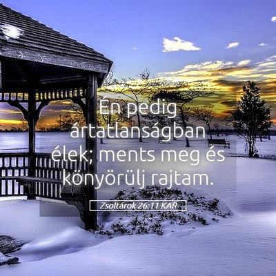Picture 05 - Zsoltárok 26:11 KAR - Én pedig ártatlanságban élek; ments meg és - Bible Verse Picture