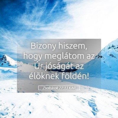 Picture 05 - Zsoltárok 27:13 KAR - Bizony hiszem, hogy meglátom az Úr jóságát - Bible Verse Picture