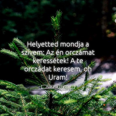 Picture 05 - Zsoltárok 27:8 KAR - Helyetted mondja a szívem: Az én orczámat - Bible Verse Picture