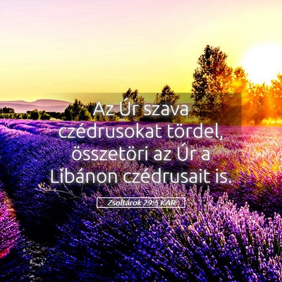 Picture 05 - Zsoltárok 29:5 KAR - Az Úr szava czédrusokat tördel, összetöri az - Bible Verse Picture