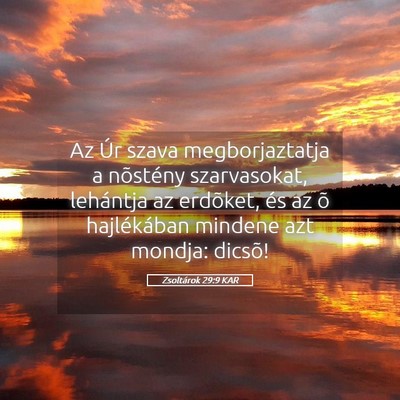 Picture 05 - Zsoltárok 29:9 KAR - Az Úr szava megborjaztatja a nõstény - Bible Verse Picture