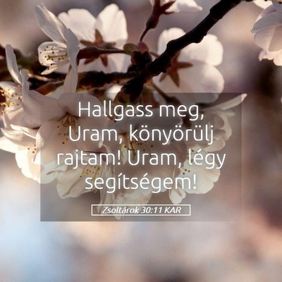 Picture 05 - Zsoltárok 30:11 KAR - Hallgass meg, Uram, könyörülj rajtam! Uram, - Bible Verse Picture