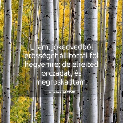 Picture 05 - Zsoltárok 30:8 KAR - Uram, jókedvedbõl erõsséget állítottál - Bible Verse Picture