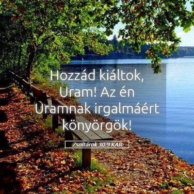 Picture 05 - Zsoltárok 30:9 KAR - Hozzád kiáltok, Uram! Az én Uramnak - Bible Verse Picture