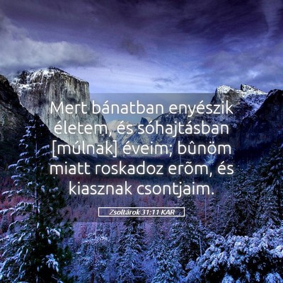 Picture 05 - Zsoltárok 31:11 KAR - Mert bánatban enyészik életem, és - Bible Verse Picture
