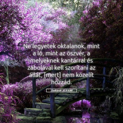 Picture 05 - Zsoltárok 32:9 KAR - Ne legyetek oktalanok, mint a ló, mint az - Bible Verse Picture