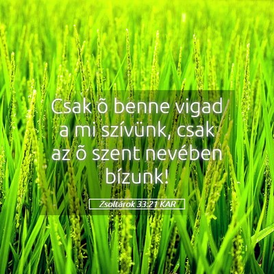 Picture 05 - Zsoltárok 33:21 KAR - Csak õ benne vigad a mi szívünk, csak az õ - Bible Verse Picture