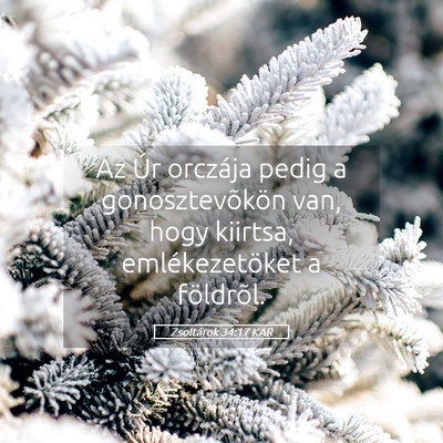 Picture 05 - Zsoltárok 34:17 KAR - Az Úr orczája pedig a gonosztevõkön van, hogy - Bible Verse Picture