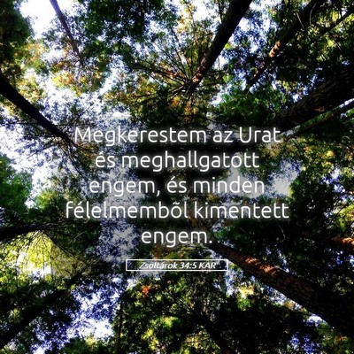 Picture 05 - Zsoltárok 34:5 KAR - Megkerestem az Urat és meghallgatott engem, és - Bible Verse Picture