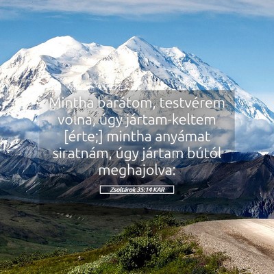 Picture 05 - Zsoltárok 35:14 KAR - Mintha barátom, testvérem volna, úgy - Bible Verse Picture