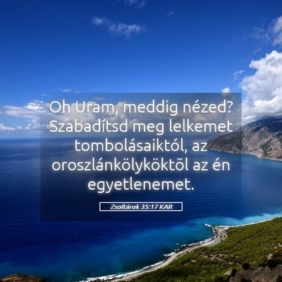 Picture 05 - Zsoltárok 35:17 KAR - Oh Uram, meddig nézed? Szabadítsd meg lelkemet - Bible Verse Picture