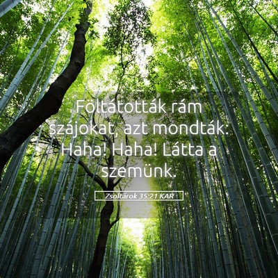 Picture 05 - Zsoltárok 35:21 KAR - Föltátották rám szájokat, azt mondták: - Bible Verse Picture