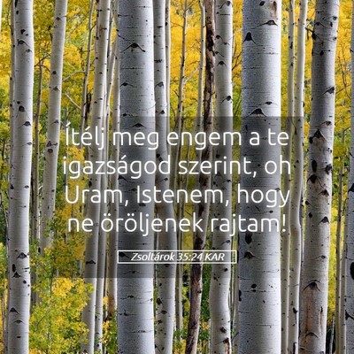 Picture 05 - Zsoltárok 35:24 KAR - Ítélj meg engem a te igazságod szerint, oh - Bible Verse Picture