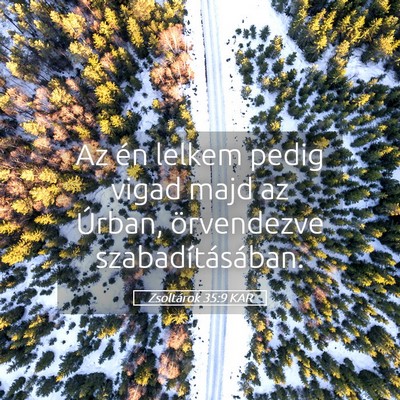 Picture 05 - Zsoltárok 35:9 KAR - Az én lelkem pedig vigad majd az Úrban, - Bible Verse Picture