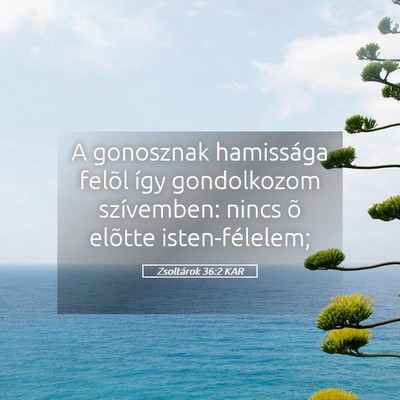 Picture 05 - Zsoltárok 36:2 KAR - A gonosznak hamissága felõl így gondolkozom - Bible Verse Picture