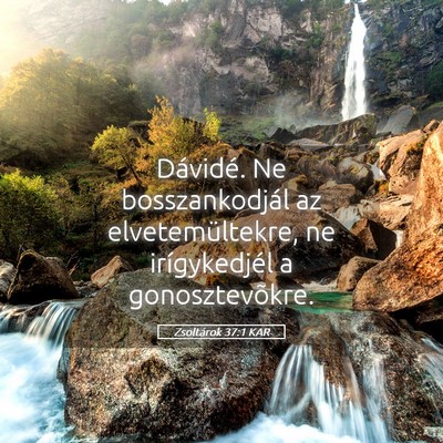 Picture 05 - Zsoltárok 37:1 KAR - Dávidé. Ne bosszankodjál az elvetemültekre, - Bible Verse Picture