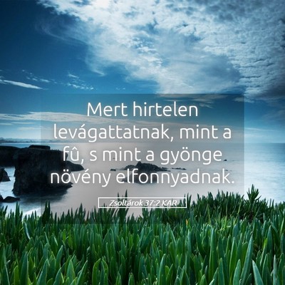 Picture 05 - Zsoltárok 37:2 KAR - Mert hirtelen levágattatnak, mint a fû, s mint - Bible Verse Picture
