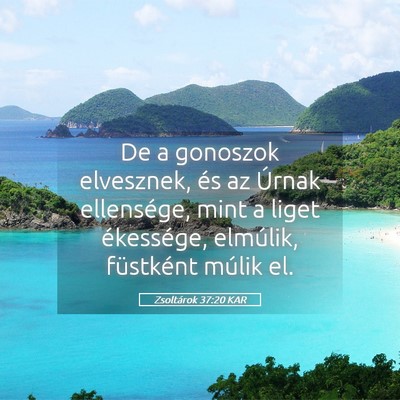 Picture 05 - Zsoltárok 37:20 KAR - De a gonoszok elvesznek, és az Úrnak - Bible Verse Picture