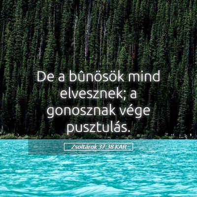 Picture 05 - Zsoltárok 37:38 KAR - De a bûnösök mind elvesznek; a gonosznak vége - Bible Verse Picture