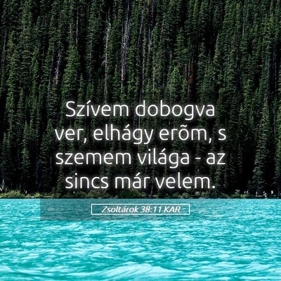 Picture 05 - Zsoltárok 38:11 KAR - Szívem dobogva ver, elhágy erõm, s szemem - Bible Verse Picture