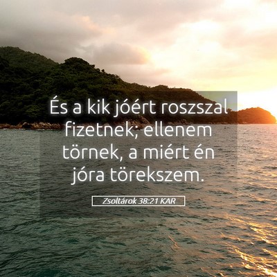 Picture 05 - Zsoltárok 38:21 KAR - És a kik jóért roszszal fizetnek; ellenem - Bible Verse Picture