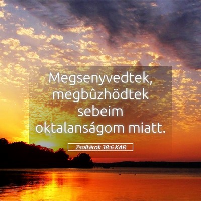Picture 05 - Zsoltárok 38:6 KAR - Megsenyvedtek, megbûzhödtek sebeim - Bible Verse Picture