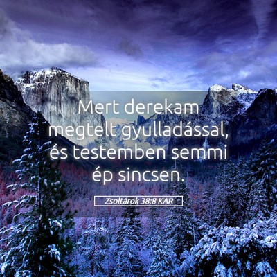 Picture 05 - Zsoltárok 38:8 KAR - Mert derekam megtelt gyulladással, és testemben - Bible Verse Picture