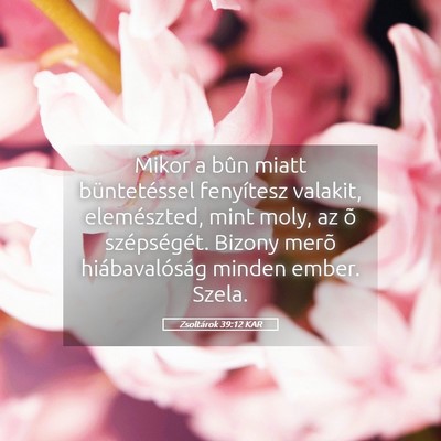 Picture 05 - Zsoltárok 39:12 KAR - Mikor a bûn miatt büntetéssel fenyítesz - Bible Verse Picture