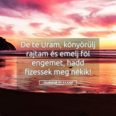Picture 05 - Zsoltárok 41:11 KAR - De te Uram, könyörülj rajtam és emelj föl - Bible Verse Picture