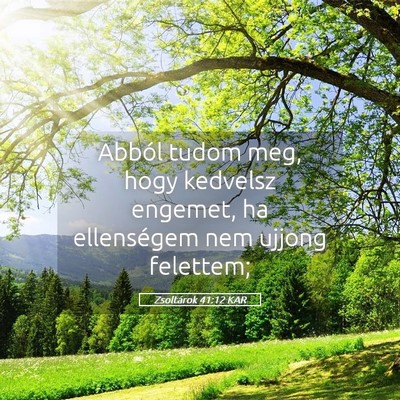 Picture 05 - Zsoltárok 41:12 KAR - Abból tudom meg, hogy kedvelsz engemet, ha - Bible Verse Picture