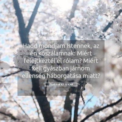 Picture 05 - Zsoltárok 42:10 KAR - Hadd mondjam Istennek, az én kõszálamnak: - Bible Verse Picture