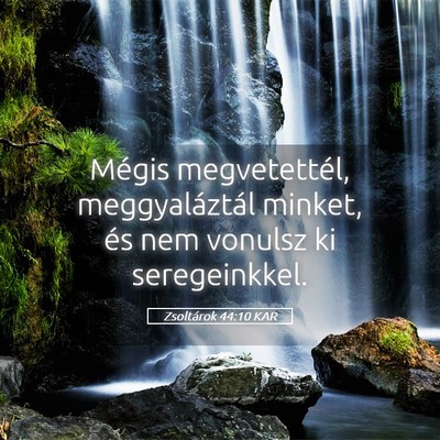 Picture 05 - Zsoltárok 44:10 KAR - Mégis megvetettél, meggyaláztál minket, és - Bible Verse Picture