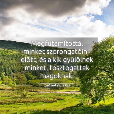 Picture 05 - Zsoltárok 44:11 KAR - Megfutamítottál minket szorongatóink elõtt, - Bible Verse Picture