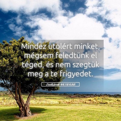 Picture 05 - Zsoltárok 44:18 KAR - Mindez utolért minket, mégsem feledtünk el - Bible Verse Picture