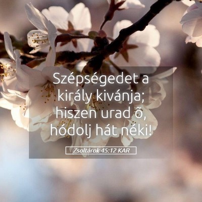 Picture 05 - Zsoltárok 45:12 KAR - Szépségedet a király kivánja; hiszen urad õ, - Bible Verse Picture