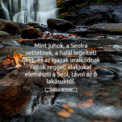 Picture 05 - Zsoltárok 49:15 KAR - Mint juhok, a Seolra vettetnek, a halál - Bible Verse Picture