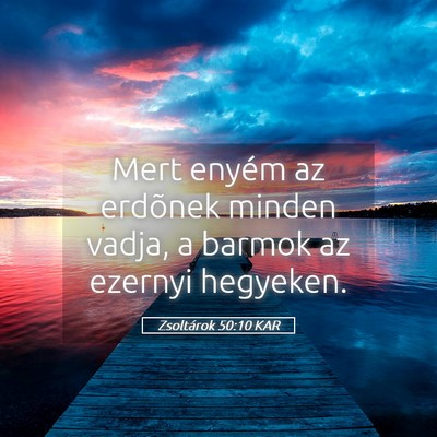 Picture 05 - Zsoltárok 50:10 KAR - Mert enyém az erdõnek minden vadja, a barmok az - Bible Verse Picture