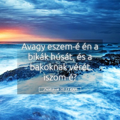 Picture 05 - Zsoltárok 50:13 KAR - Avagy eszem-é én a bikák húsát, és a - Bible Verse Picture