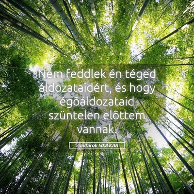 Picture 05 - Zsoltárok 50:8 KAR - Nem feddlek én téged áldozataidért, és hogy - Bible Verse Picture
