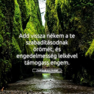 Picture 05 - Zsoltárok 51:14 KAR - Add vissza nékem a te szabadításodnak - Bible Verse Picture
