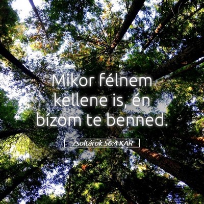 Picture 05 - Zsoltárok 56:4 KAR - Mikor félnem kellene is, én bízom te - Bible Verse Picture
